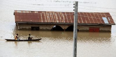 Floods in Nigeria: building dams and planting trees among steps that should be taken to curb the damage