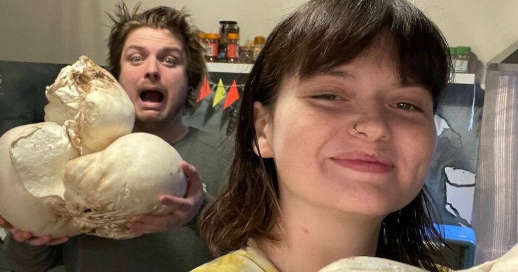 East Lothian forager finds puffball mushroom four…