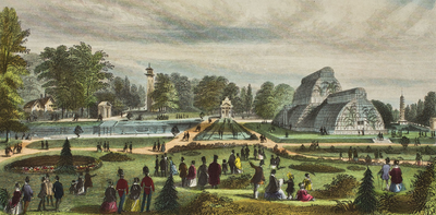 European colonialism has had a lasting legacy on how plants are distributed around the world