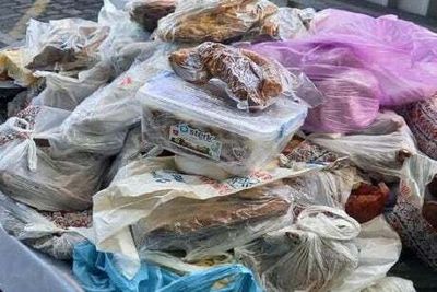 Maggot-ridden meat among illegal products seized by officials in Dover crackdown