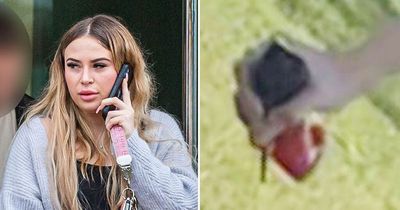 Love rival slashed boyfriend's ex with stiletto-shaped perfume bottle in park attack