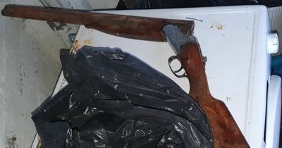 Gardai make seven arrests during nine major raids in Dublin and Meath as part of Operation Thor