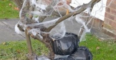 Halloween decoration outside home branded 'messed up' as some say it's gone too far