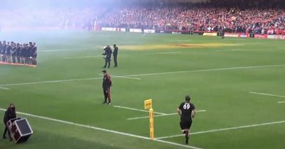 Wales v All Blacks pitch intruder gets suspended prison sentence and two-year ban over cricket incident
