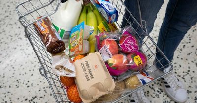 How prices of every day foods like bread, milk and cheese have risen in the past year