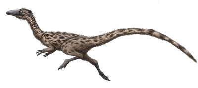 'Swift-footed lizard' is named the Massachusetts state dinosaur