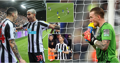 Newcastle United 1-0 Everton: Miguel Almiron wonderstrike extends unbeaten run