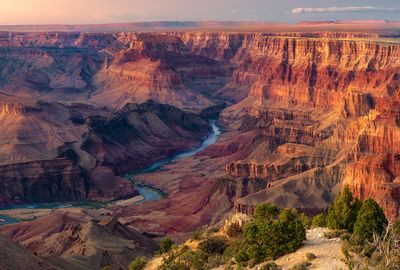 Colorado River Basin wildlife threatened