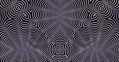 Optical illusion leaves viewers 'baffled' as many claim to see different animal