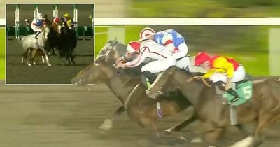 Punters furious after result stands in controversial race despite horse 'causing carnage'