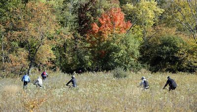 13 miles of trails for mountain biking, running open in forest preserve near Hoffman Estates