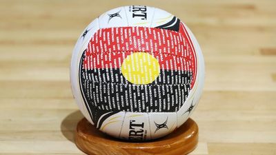 Former Netball Australia board member Nareen Young says 'racism in netball at every level'