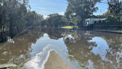 Echuca residents on high alert ahead of Murray River flood peak, scores of homes at risk