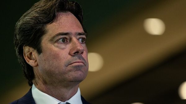 AFL releases terms of reference for investigation into Hawthorn's treatment of Indigenous players and families