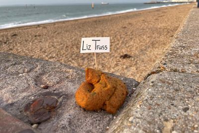 Protest pong: Street artist’s mucky campaign against Liz Truss is fake poos