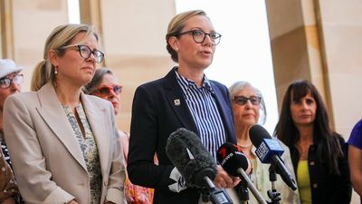 Inquiry into forced adoptions needed to address challenges facing survivors, WA opposition says