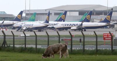 Dublin Airport weather issues leave families stranded in Spain overnight