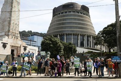 New Zealand farmers protest livestock 'burp and fart' tax
