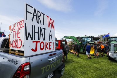 New Zealand farmers protest world’s first livestock ‘burp tax’