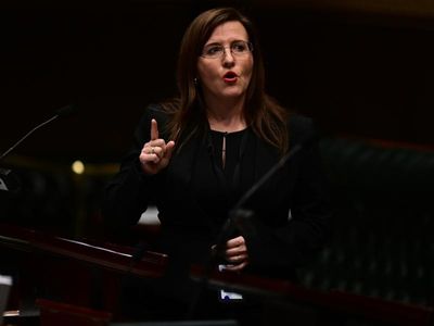Mihailuk quits NSW Labor after sacking