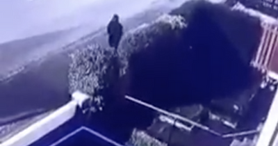 Hooded Glasgow figure filmed tossing exploding firework through letterbox of family home