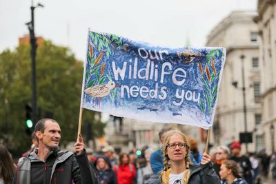 ‘I’m shedding tears of rage!’ How the Tories’ ‘war on nature’ outraged everyone from the RSPB to farmers