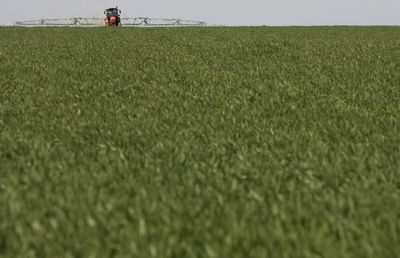 Russia says U.S. 'blackmail' over fertilizer exports threatens global food security