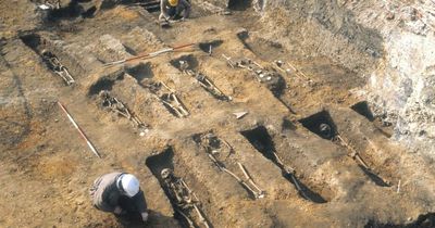 How the Black Death plague is still affecting your health hundreds of years later