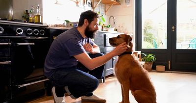 Man worries about dog's 'human' name after date ghosts him when she found out
