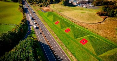 Drivers see red as Bathgate Pyramids transformed for Poppy Appeal