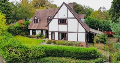 Stunning Tudor-style home overlooking nature reserve for sale