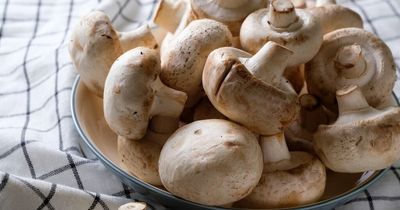 Thousands of Irish people poisoned with warning over mushrooms, cosmetics and plants