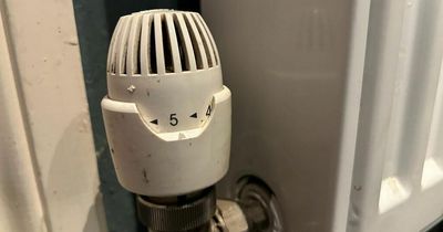 Property expert offers 5 heat saving hacks and you won't need to buy anything extra