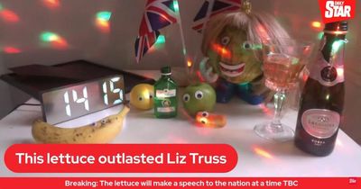 Hardy lettuce declares victory over Liz Truss as PM announces recognition