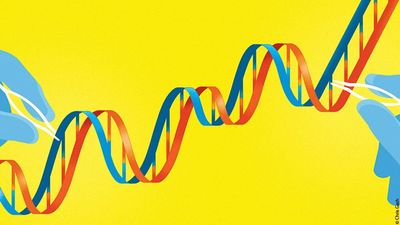 CRISPR Stocks: Will Concerns Over Risk Inhibit Gene-Editing Cures?