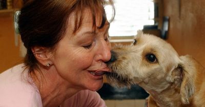 Medical expert warns 'you could lose limbs' if you kiss your dog