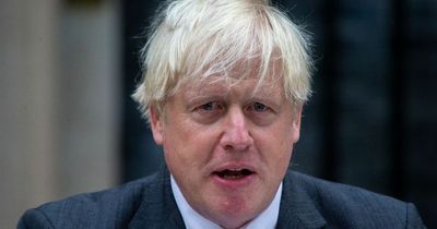 Boris Johnson expected to stand to be Prime Minister again