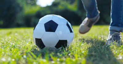 Neighbour branded a 'Grinch' for taking revenge on kid who lost ball over fence