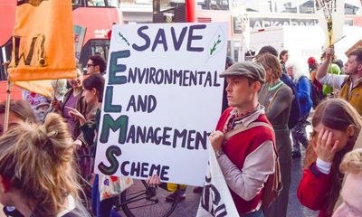 UK farmers sign letter to MPs attacking plans to scrap environmental subsidies