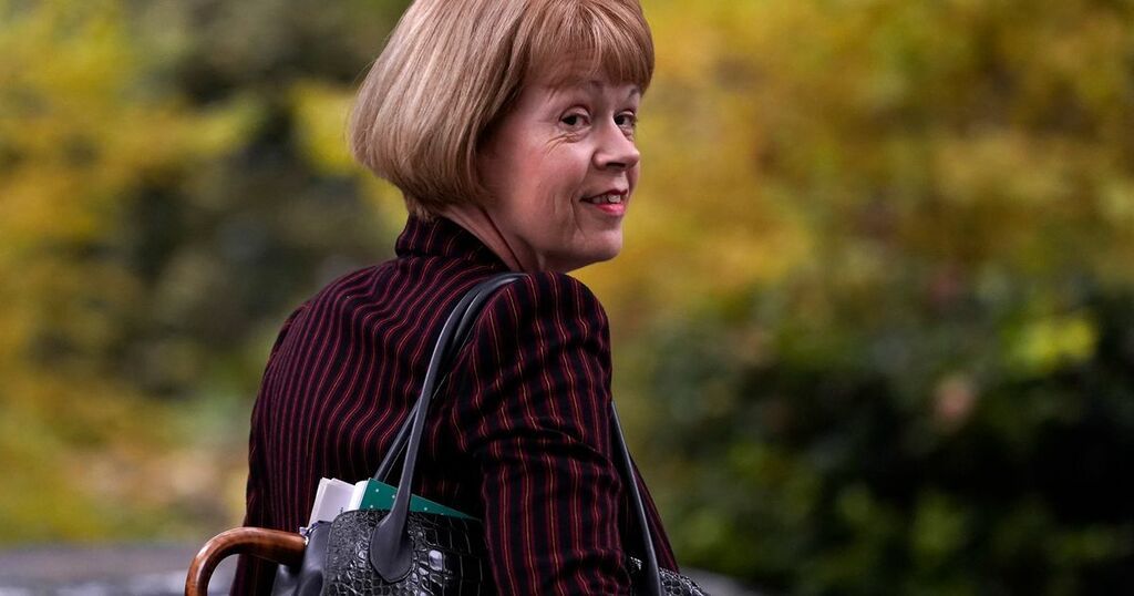 Who are the whips, what do they do and why are they…