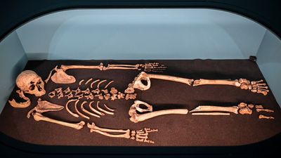 Genetic sequencing gives us the first-ever look at a Neanderthal clan