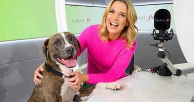 Classic FM brings back calming pet show to help anxious dogs on Bonfire Night