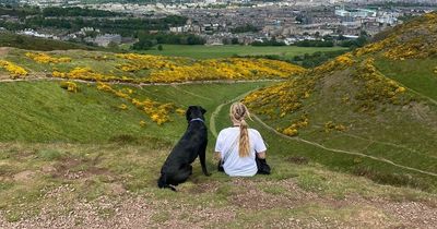 Edinburgh woman scared to walk her pooch after 'out-of-control' dog attacks