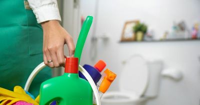 Simple hack to clean your toilet without using 'unsanitary' brush or bleach