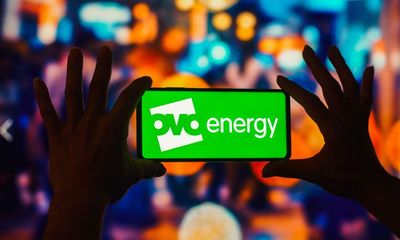 Ovo revives interest in buying nationalised energy supplier Bulb