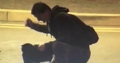 Man beats and shoves cat to the ground before slapping it repeatedly