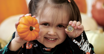 Morrisons selling pumpkins from 59p and an alternative to the £30 patch trip