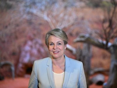 Environment ministers set for huge meeting