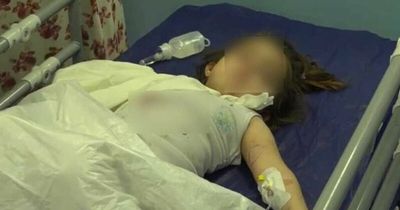 Girl, 3, has arm torn off by vicious bear after putting it through fence at zoo