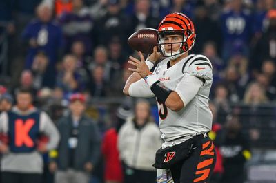 Bengals happy with Joe Burrow’s risk-averse game right now